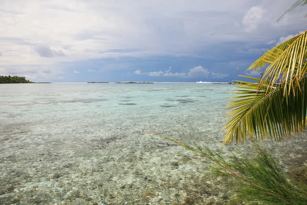 熱帯の海 — ストック写真