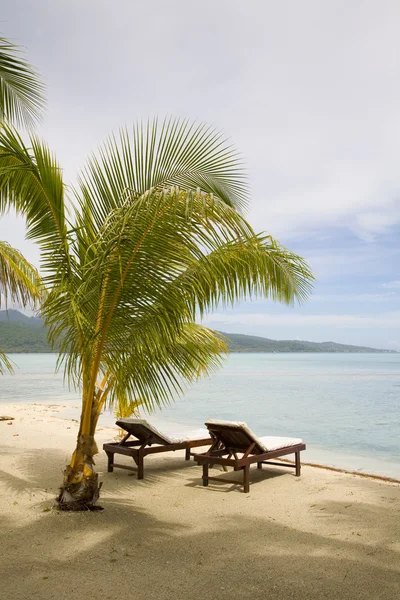 Praia exótica tropical — Fotografia de Stock