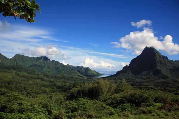 Polinezyası manzara — Stok fotoğraf