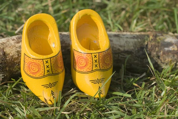 Hollandalı tahta ayakkabı — Stok fotoğraf