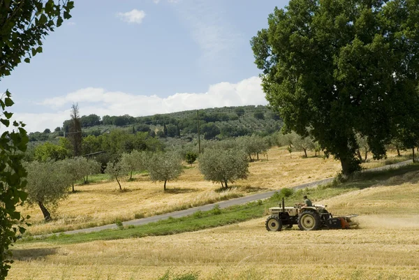 Italiaanse landbouwer — Stockfoto