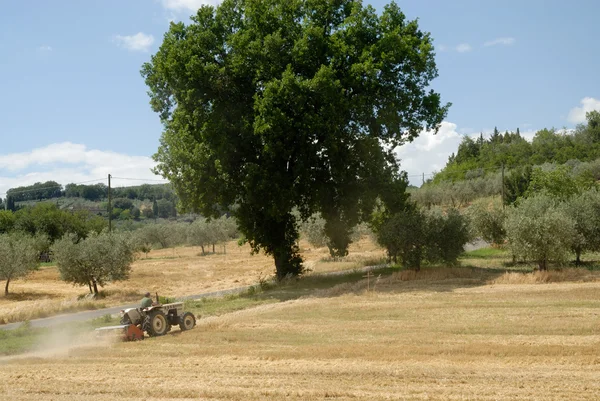 Фермер в Италии — стоковое фото