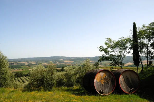 Fässer für Chianti-Wein — Stockfoto