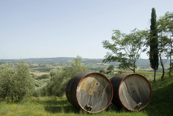 Chianti-vin i Toscana — Stockfoto