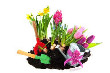 Gardening in spring clipart