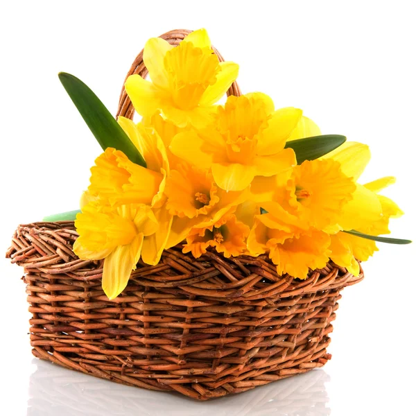 stock image Easter basket