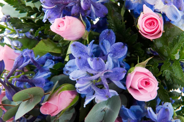 蓝翠雀花和粉红玫瑰 — 图库照片