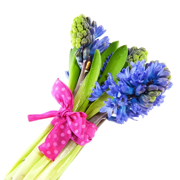 Bouquet Hyacinths — Stock Photo, Image