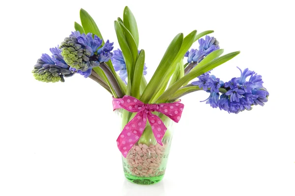 Bouquet Hyacinths — Stock Photo, Image
