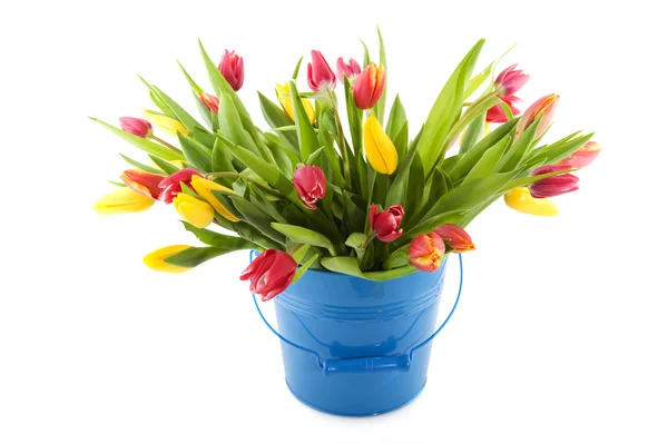 Colorful tulips in spotted vase — Stock Photo, Image