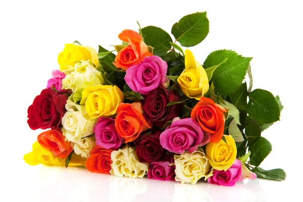 Rosas coloridas —  Fotos de Stock