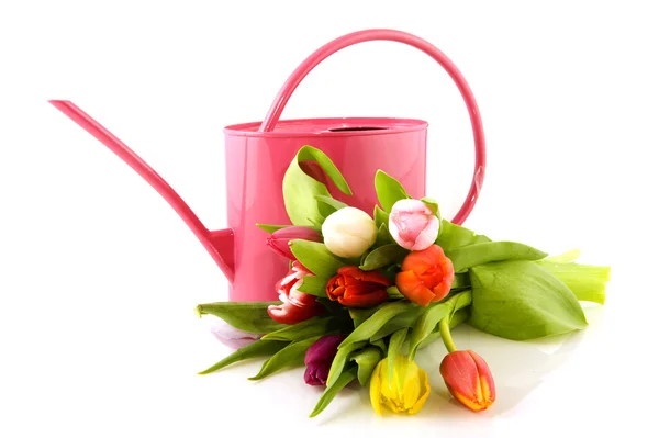 Kolorowe tulipany i różowy konewka — Zdjęcie stockowe