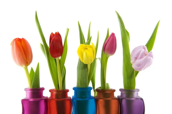 Färgerna på våren — Stockfoto