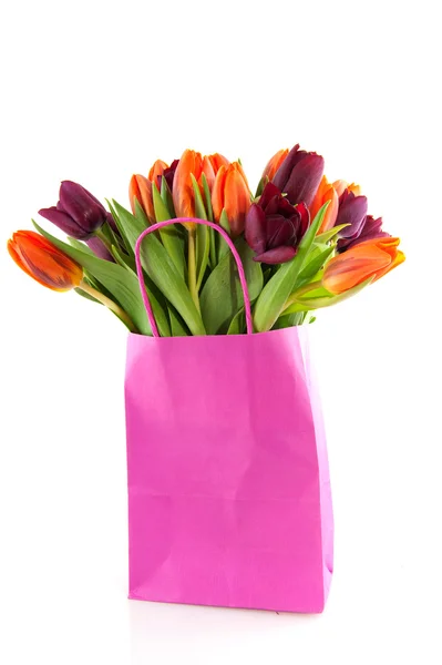 Kleurrijke tulpen — Stockfoto