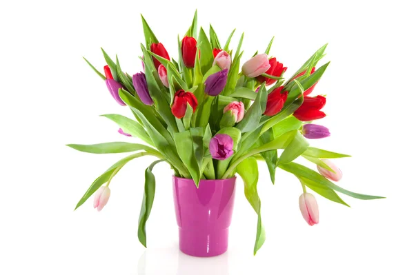 Colorful tulips in purple vase — Stock Photo, Image