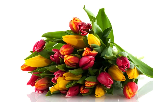 Bouquet coloré tulipes — Photo