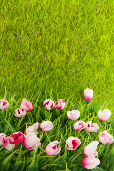 Decoration grass with flowers — Stock Photo, Image