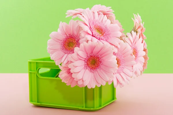 Bouquet Gerber on green — Stock Photo, Image