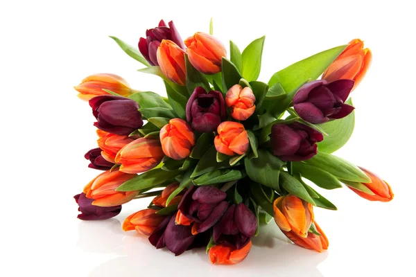 Tulipanes en primavera — Foto de Stock