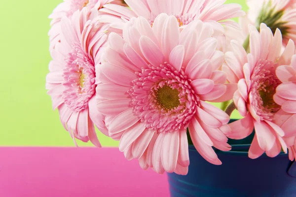 Růžová Gerbera na zelené — Stock fotografie