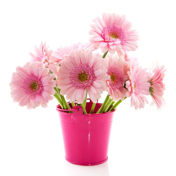 粉红色的花束格柏 — 图库照片