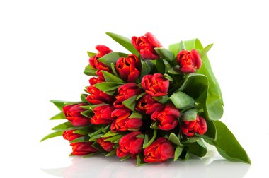 Bouquet red tulips clipart