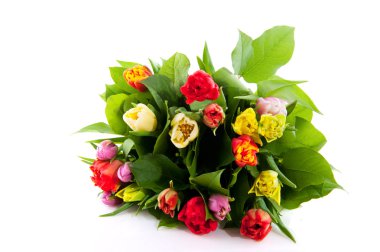 Colorful bouquet of tulips clipart