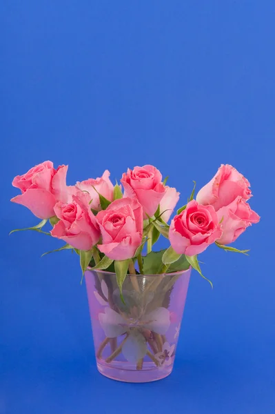 Ροζ τριαντάφυλλα σε μπλε — Φωτογραφία Αρχείου