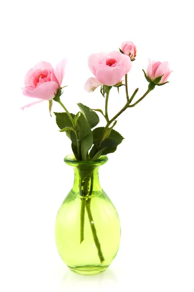 stock image Pink roses