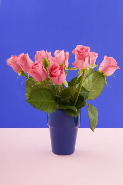 Färgglada rosor på blå och rosa — Stockfoto