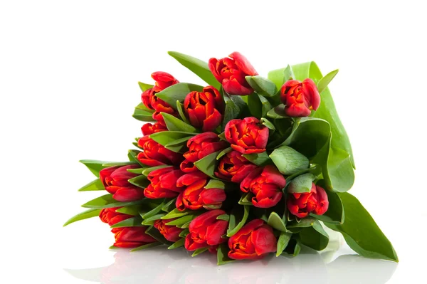 Ramo tulipanes rojos —  Fotos de Stock