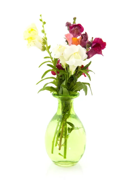 Little bouquet with snapdragon — Stock Photo, Image