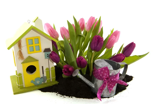 Tulips and bird house — Stock Photo, Image