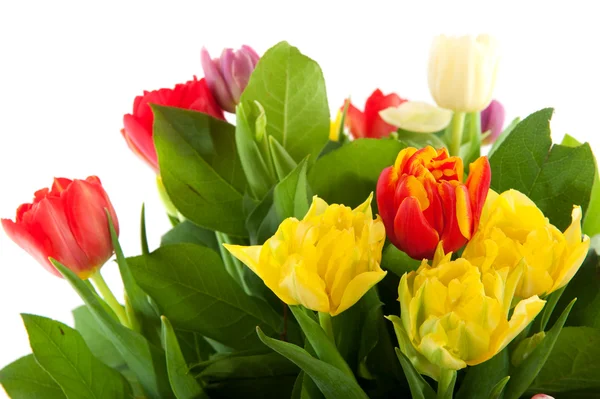 Barevná kytice tulipánů — Stock fotografie