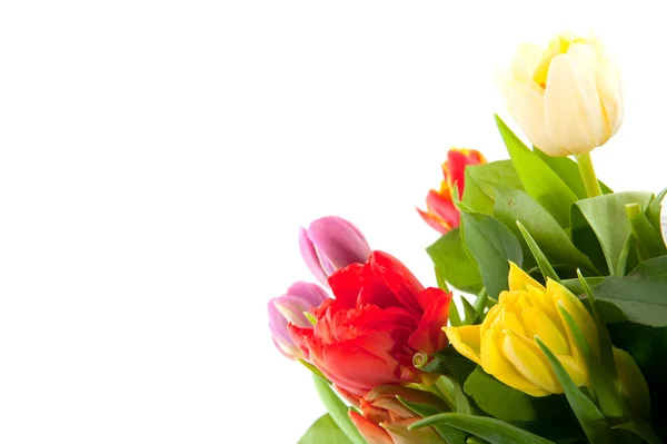 Kleurrijk boeket tulpen — Stockfoto