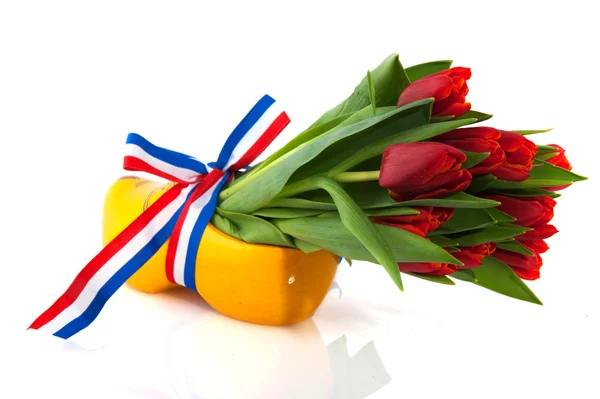 Holenderskie tulipany — Zdjęcie stockowe