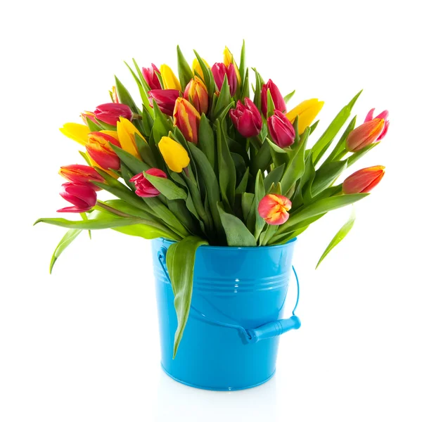Buket tulipaner - Stock-foto