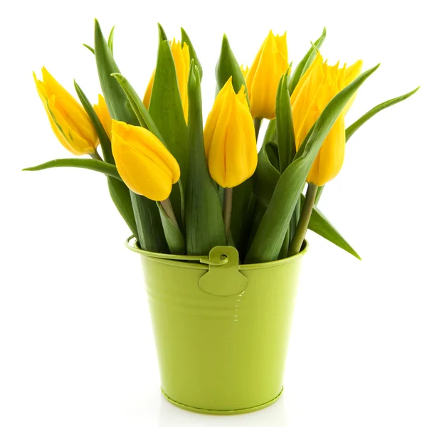 Bouquet tulipes jaunes — Photo