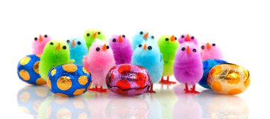 Easter chicks with eggs clipart