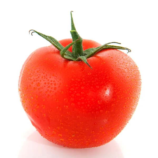 Единственный свежий помидор — стоковое фото