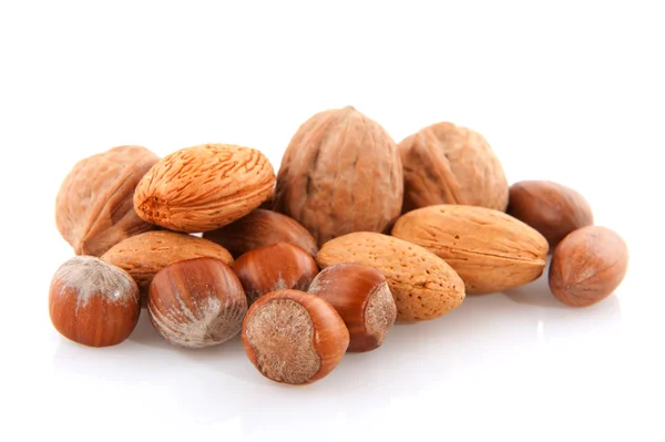 Diversiteit van noten — Stockfoto