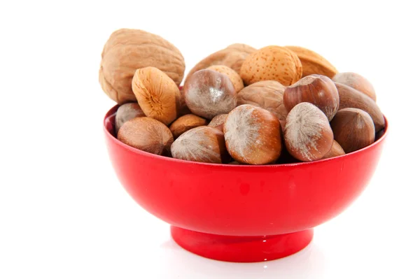 Diversity of nuts — Stock Photo, Image
