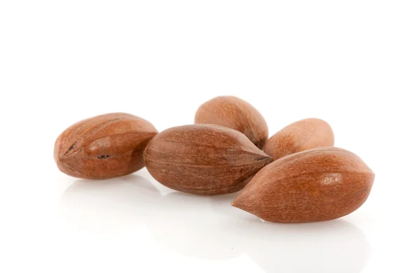 Орехи орехов пекан — стоковое фото