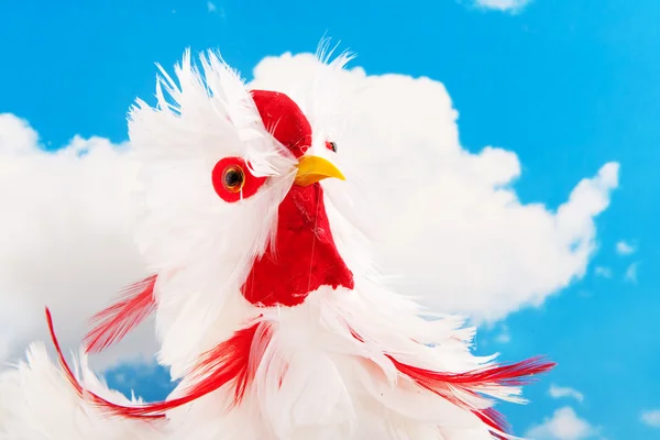 Vit kyckling — Stockfoto