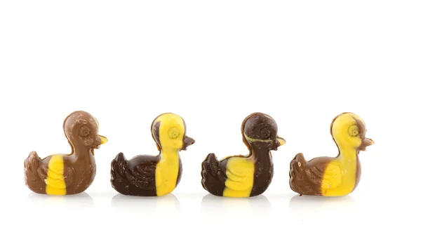 Chocolate ducks — Stock Photo, Image