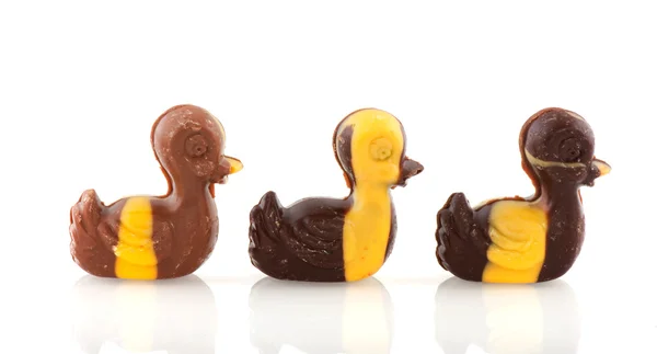 Chocolate easter chicks — Stock Photo, Image