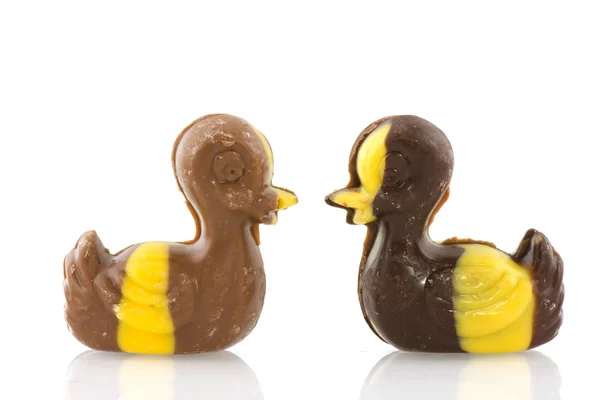 Chocolate ducks — Stock Photo, Image