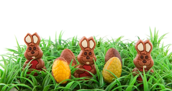 Easter hares in the grass — Stock Photo, Image
