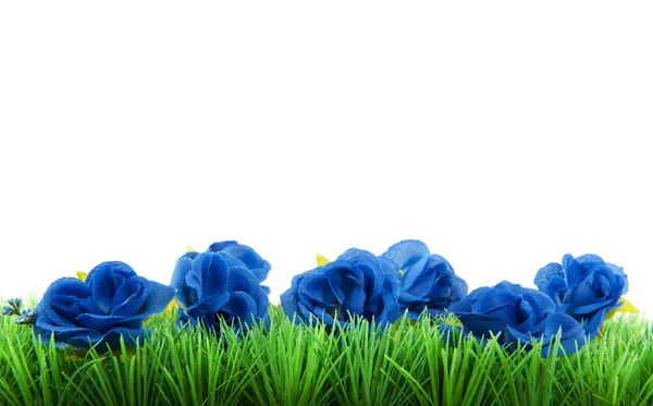 Zelená tráva s modrými květy — Stock fotografie