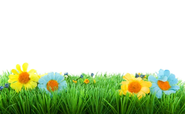 Zelená tráva s květinami — Stock fotografie